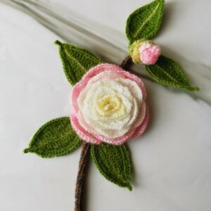 essential skills 8 color management1