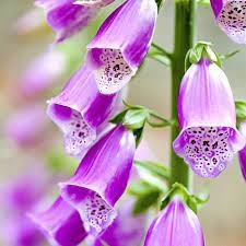 level up your crochet needleworks