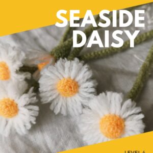 crochet pattern seaside daisy cover