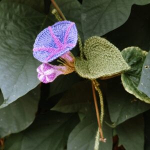 morning glory knitted pattern