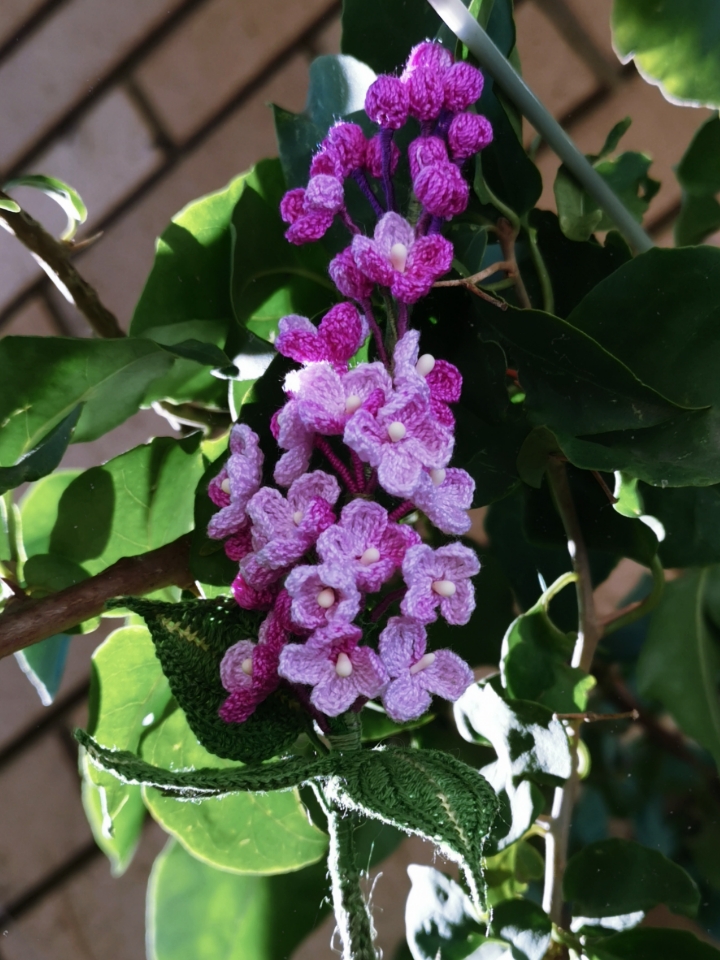 lilac crochet pattern