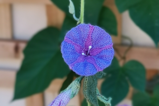 crochet holistic satisfaction