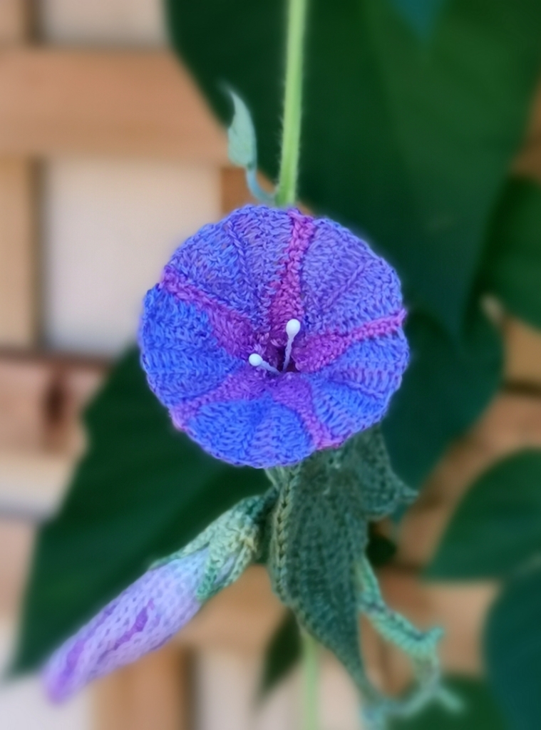 level 10 pattern cover