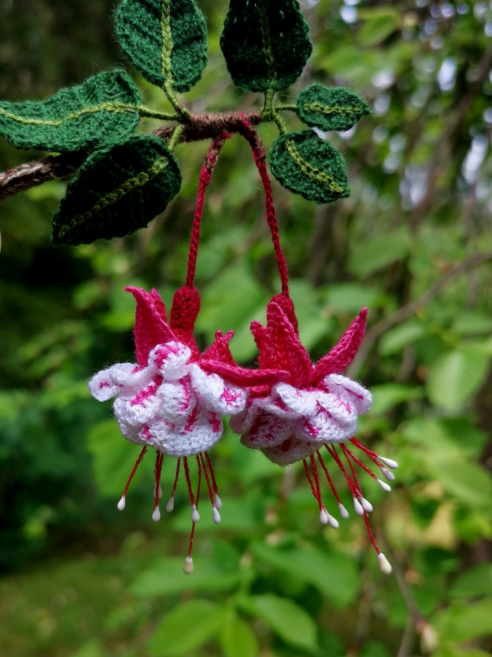 crochet fuchsia pattern