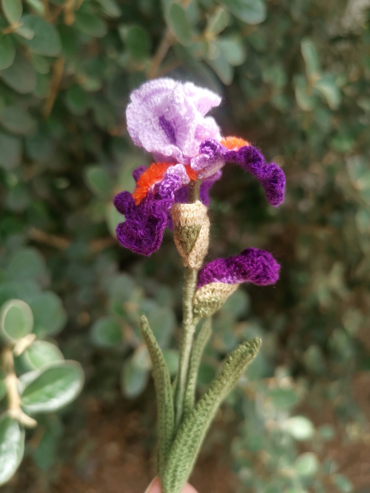 Crochet Pattern - BEARED IRIS mini flower bouquet L9 - Image 5