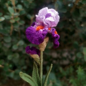 bearded iris crochet pattern