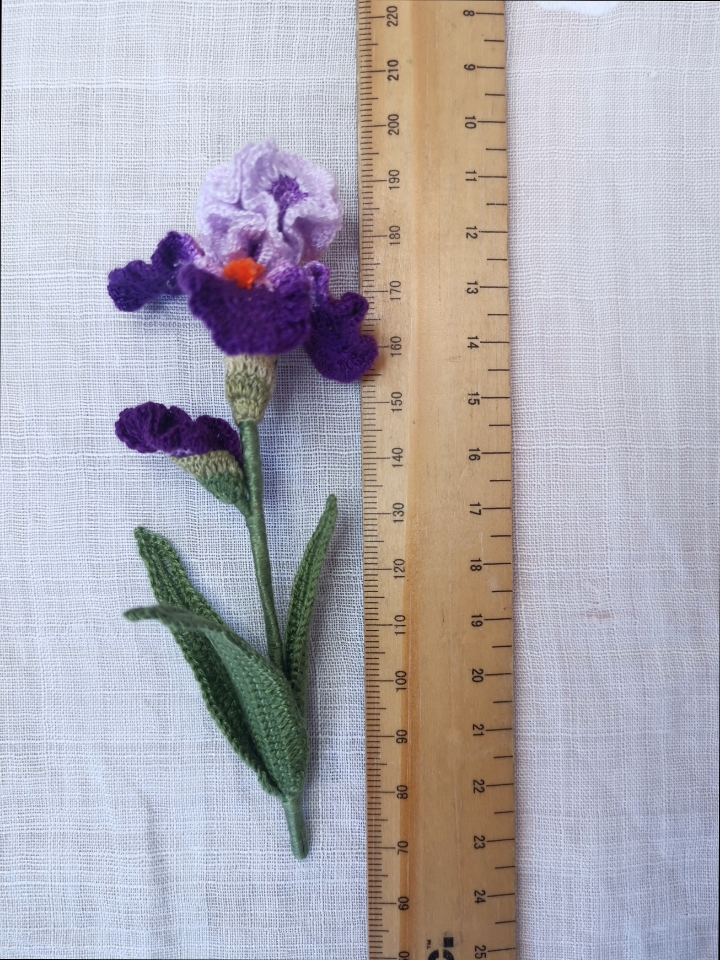 crochet iris pattern