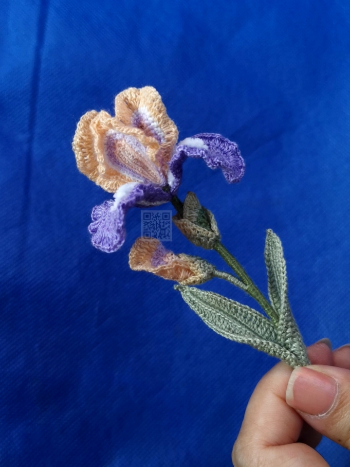 crochet iris pattern