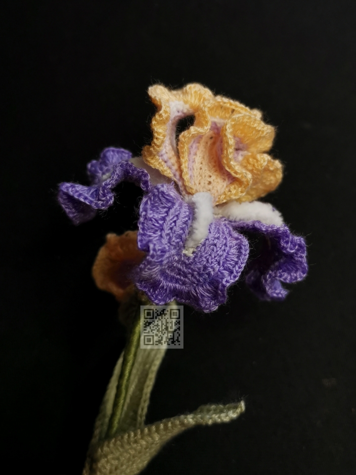 crochet iris pattern