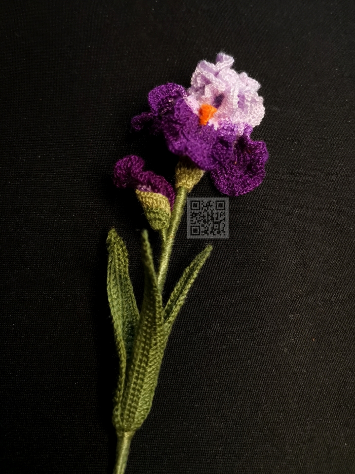 crochet iris pattern