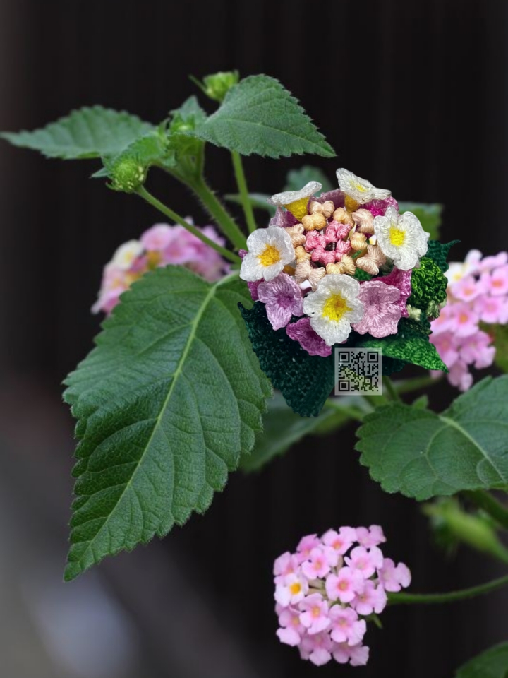 lantana crochet pattern