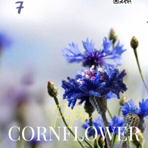 cornflower crochet pattern