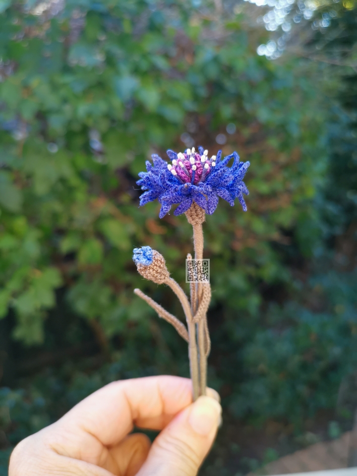 cornflower crochet pattern